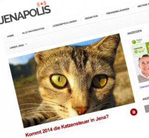 JEZT - Artikelabbild - Netzbandt - Katzensteuer © MediaPool Jena