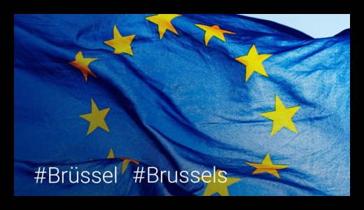 Die FDP trauert mit Brüssel