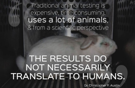 JEZT - Statement zu Tierversuchen von Dr. Christopher P. Austin - Abbildung © Peta