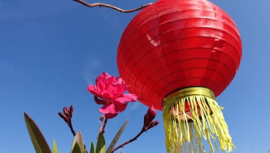 jezt-chinesiches-mondfest-in-jena-symbolfoto-stadt-jena