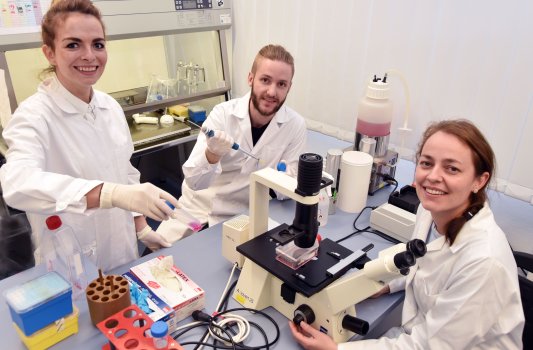 vlnr - Dr. Jana Gerstmeier Erik Romp und Dr. Ulrike Garscha aus dem Team von Prof. Dr. Oliver Werz. - Foto © FSU Günther