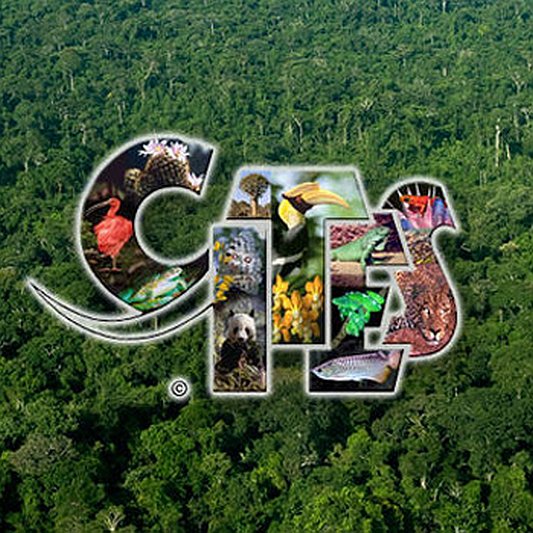 CITES Logo des WWF