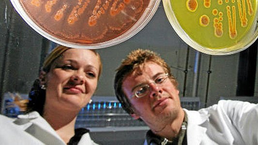 Die Wissenschaftler der Jena School for Microbial Communication werden seit 2007 im Rahmen der Exzellenzinitiative gefördert. - Foto © FSU Kasper